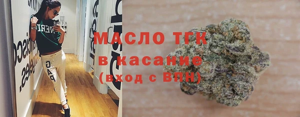 сатива Новозыбков