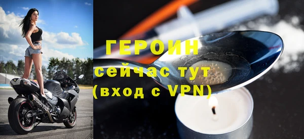 ГАЛЛЮЦИНОГЕННЫЕ ГРИБЫ Дмитриев