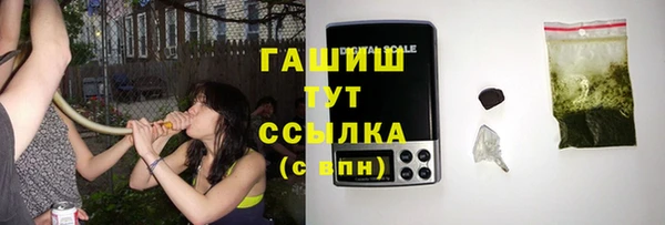 ГАЛЛЮЦИНОГЕННЫЕ ГРИБЫ Дмитриев