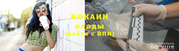 стафф Дмитров