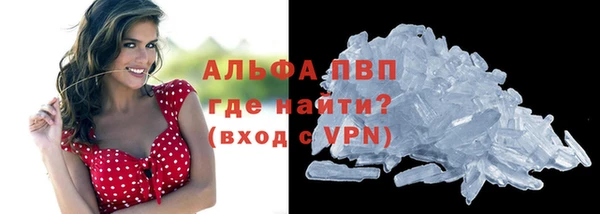 стафф Дмитров