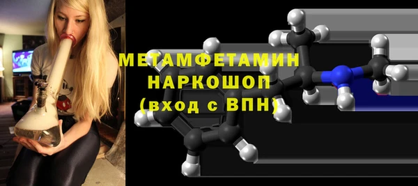 ГАЛЛЮЦИНОГЕННЫЕ ГРИБЫ Дмитриев