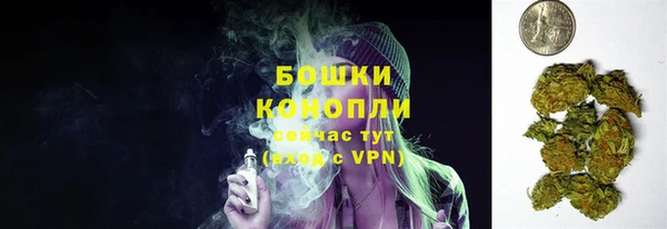 стафф Дмитров