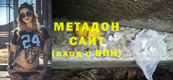 ГАЛЛЮЦИНОГЕННЫЕ ГРИБЫ Дмитриев