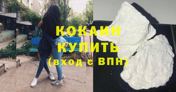 ГАЛЛЮЦИНОГЕННЫЕ ГРИБЫ Дмитриев