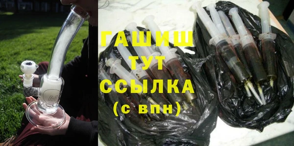 ГАЛЛЮЦИНОГЕННЫЕ ГРИБЫ Дмитриев