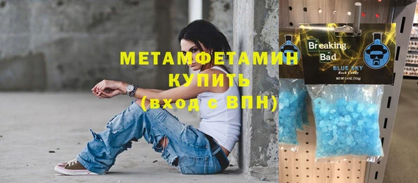 ГАЛЛЮЦИНОГЕННЫЕ ГРИБЫ Дмитриев