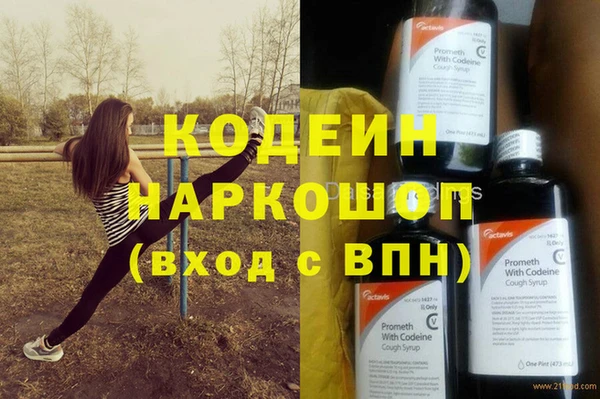 ГАЛЛЮЦИНОГЕННЫЕ ГРИБЫ Дмитриев