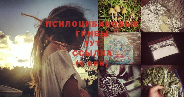 ГАЛЛЮЦИНОГЕННЫЕ ГРИБЫ Дмитриев