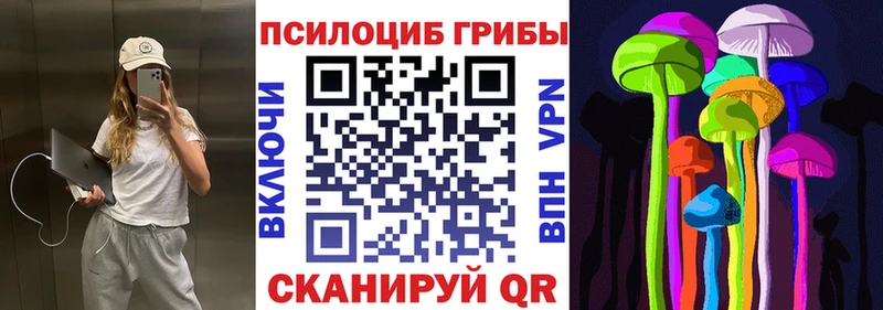 Псилоцибиновые грибы Psilocybe  Пролетарск 
